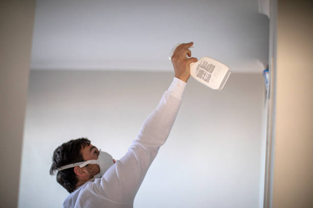 Best Professional Mold Removal  in Mesa Del Caballo, AZ