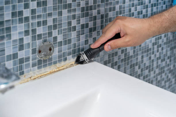 Best Mold Damage Repair  in Mesa Del Caballo, AZ